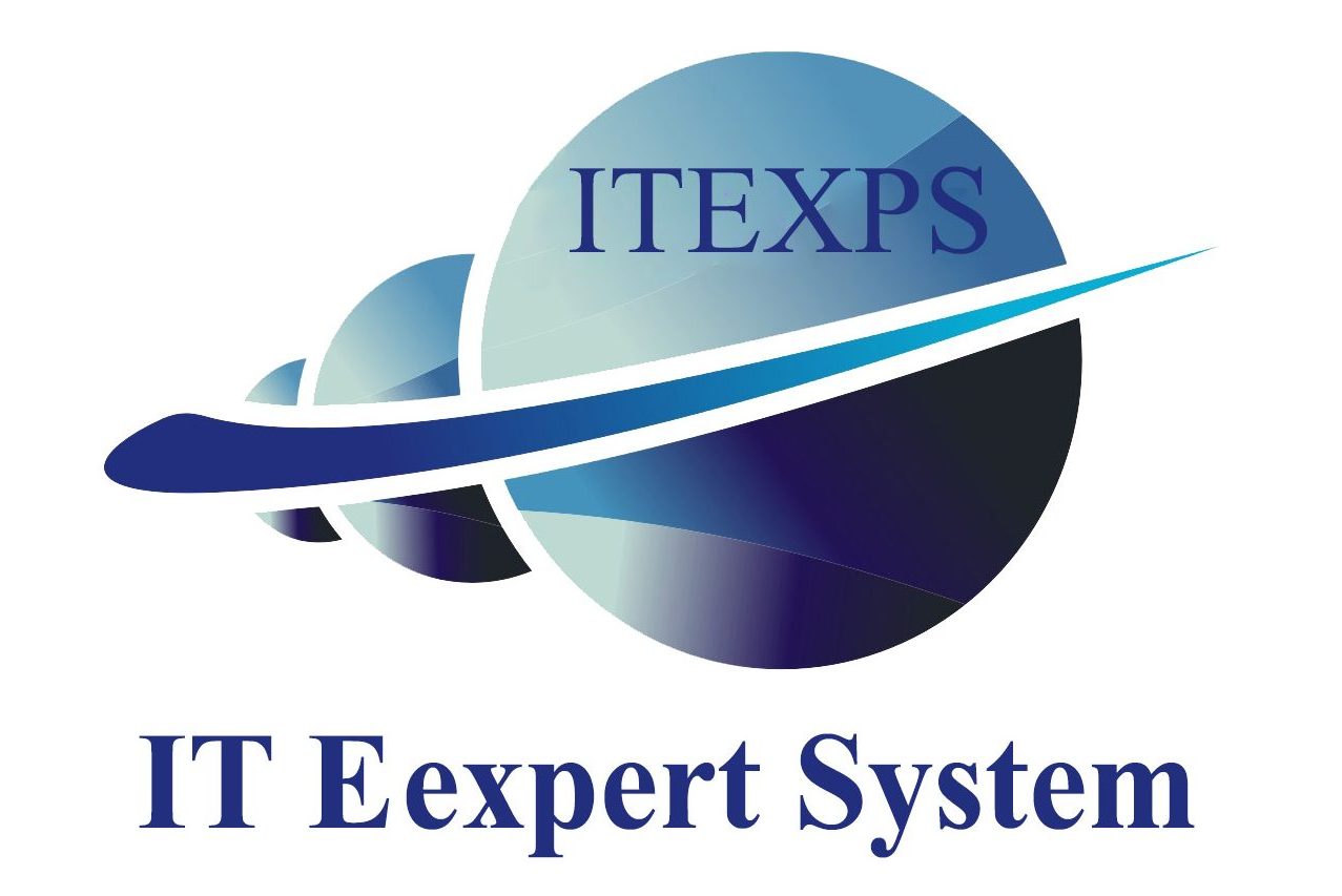 IT Expert System